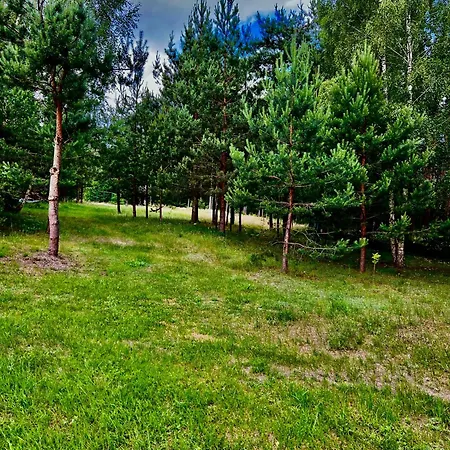 Rezydencja Osiek Cala Willa Dla Ciebie I Rodziny וילה