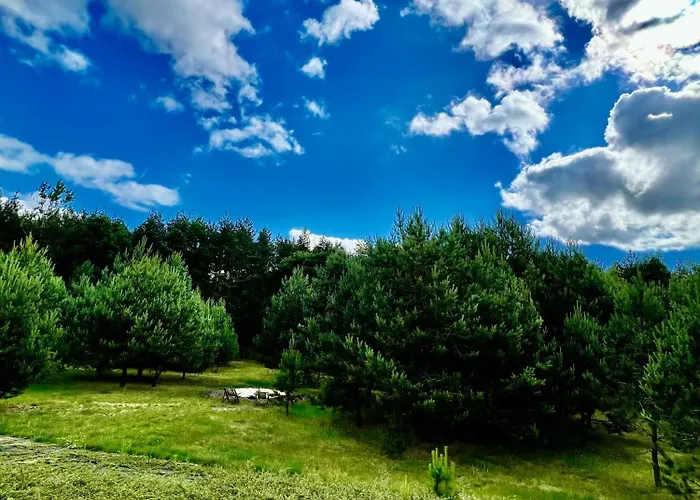 Cala Dla Ciebie I Rodziny